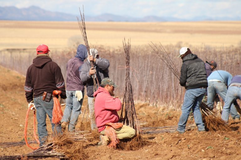 66cbd674-5c87-494f-adea-7fddb744e603