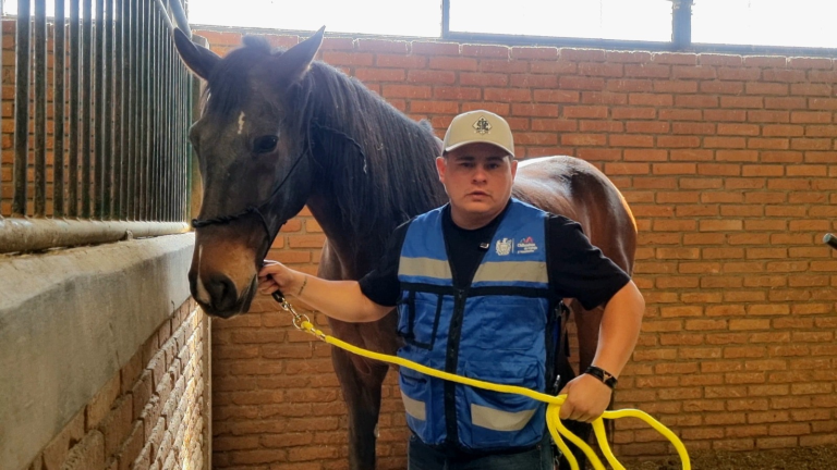 7f1668a9-6d9c-4dad-9501-02758fa23b5b