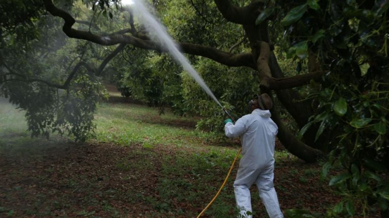 f1280x720-142472_274147_6649