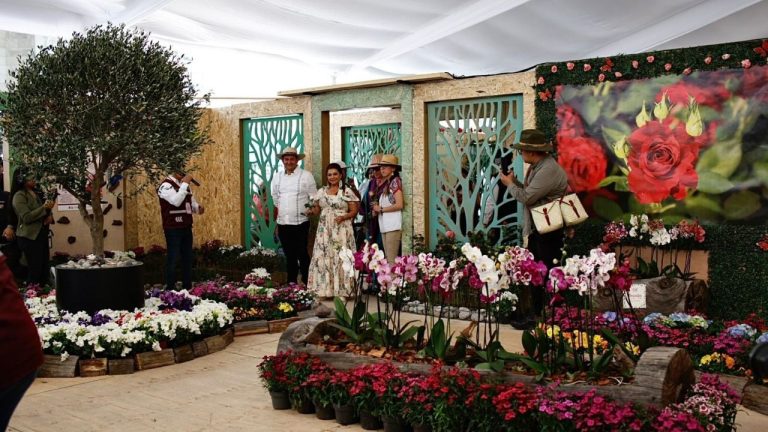 f1280x720-244129_375804_5050