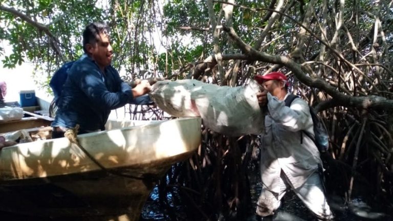 f1280x720-244133_375808_5050