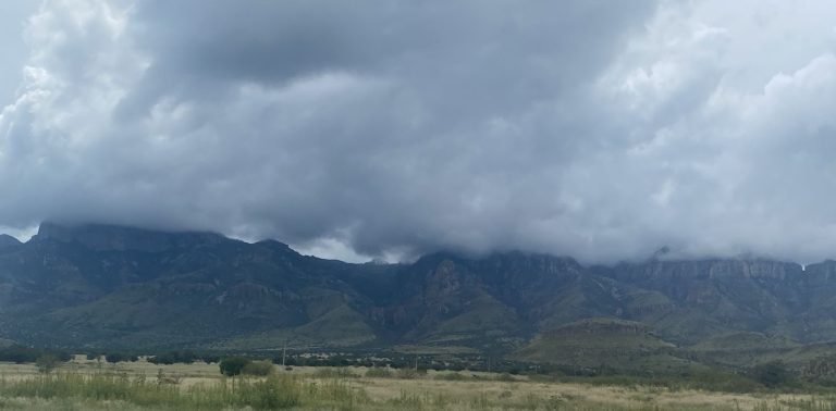 whatsapp20image202026-03-0520at2010-14-0420am