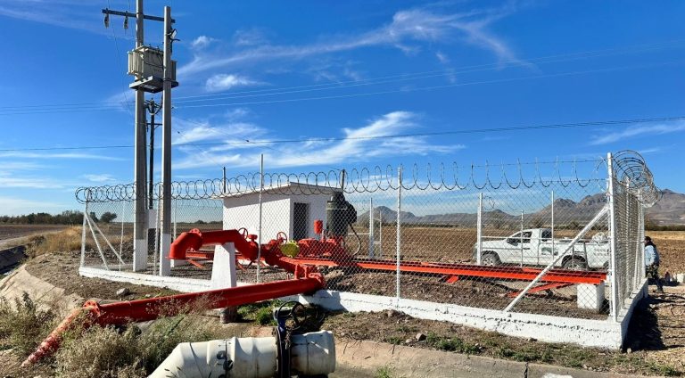 whatsapp20image202026-03-1720at201-08-4520pm