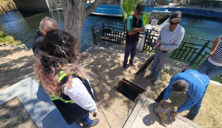 whatsapp20image202026-03-1720at201-41-3420pm2028129