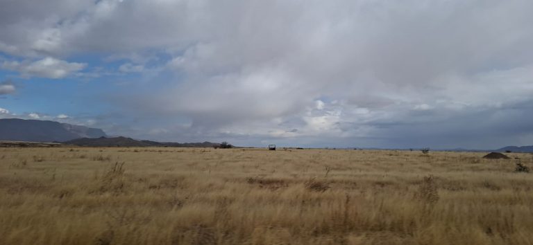 whatsapp20image202026-03-2020at2011-48-1820am