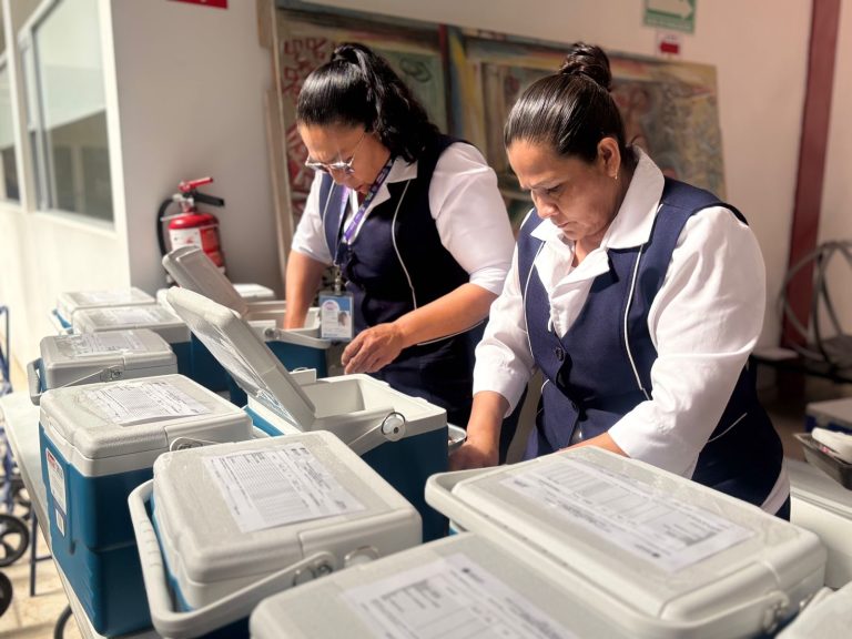 whatsapp20image202026-03-2820at2013-45-042028329