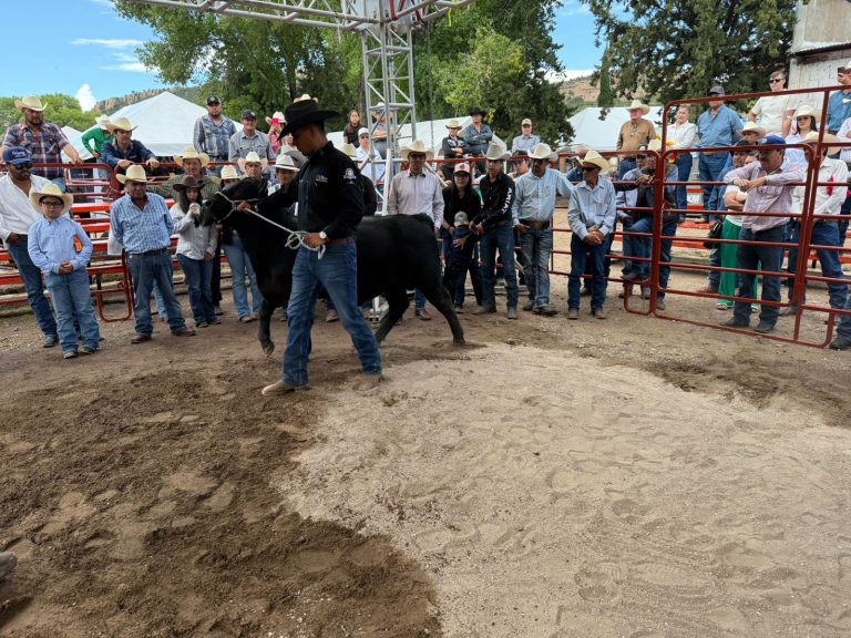 540697126_1216462023843932_4952551822467173173_n