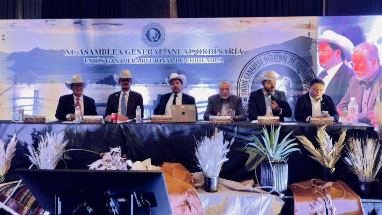 61cd6dfd-fb2c-4d6d-bbe7-ac923c814731