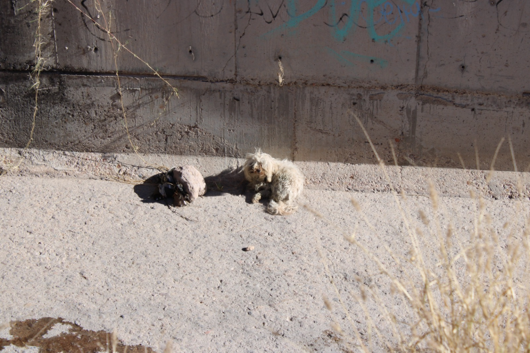 6ef08da8-f965-4658-b74c-3ebc80066324