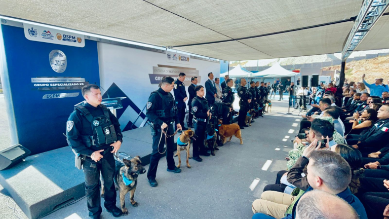 80d237d5-2139-401d-8ed6-4db56e0d08f0