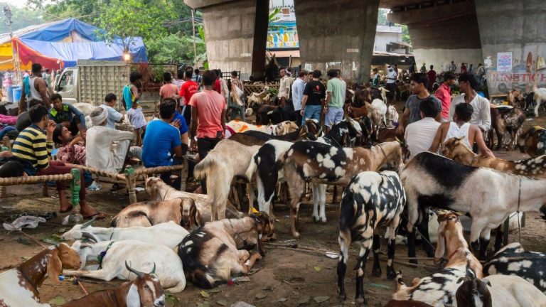 f1280x720-143469_275144_5050