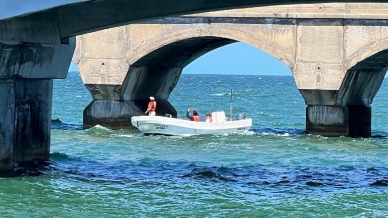 f1280x720-246515_378190_4766