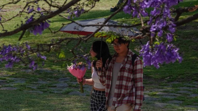 f1280x720-246584_378259_5050