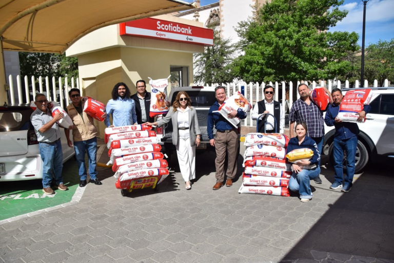 f88c3009-72fb-403d-a0b6-104245253239