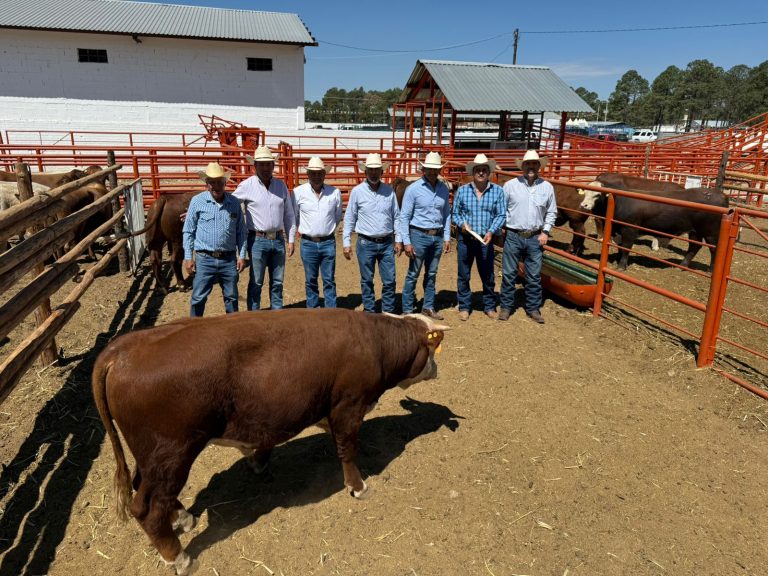 mejoramiento20genc3a9tico2028329