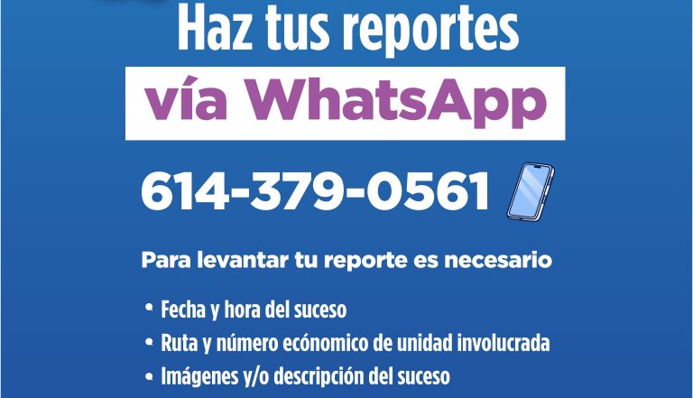 transportes-reportes20whatsapp_mesa20de20trabajo201