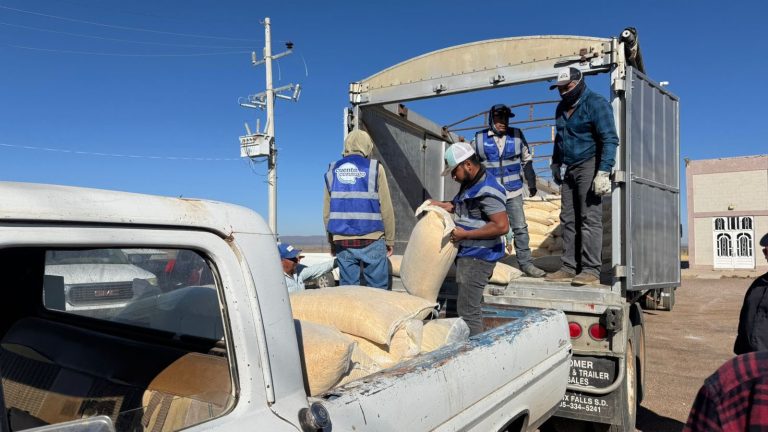 whatsapp20image202026-04-0320at2011-38-352028129