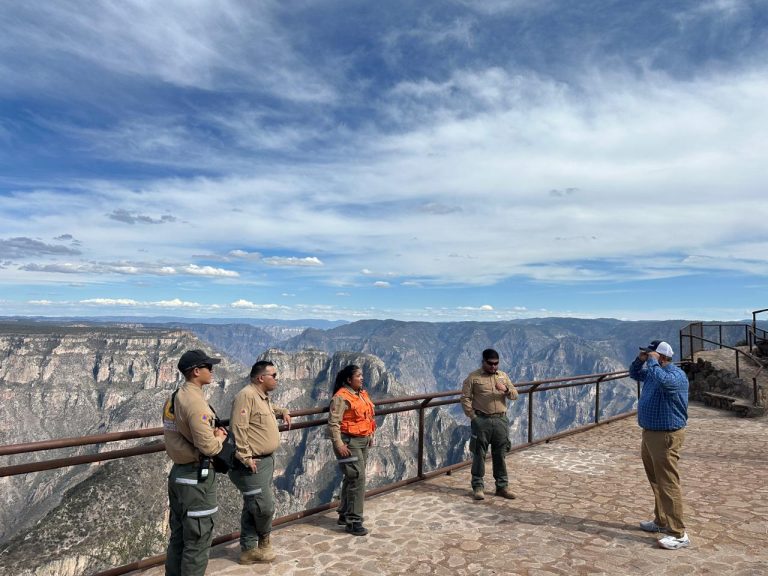 whatsapp20image202026-04-0320at2018-40-23