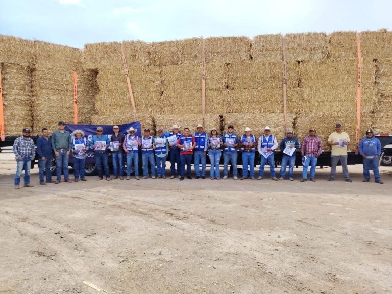 whatsapp20image202026-04-1720at2011-26-0020am2028329