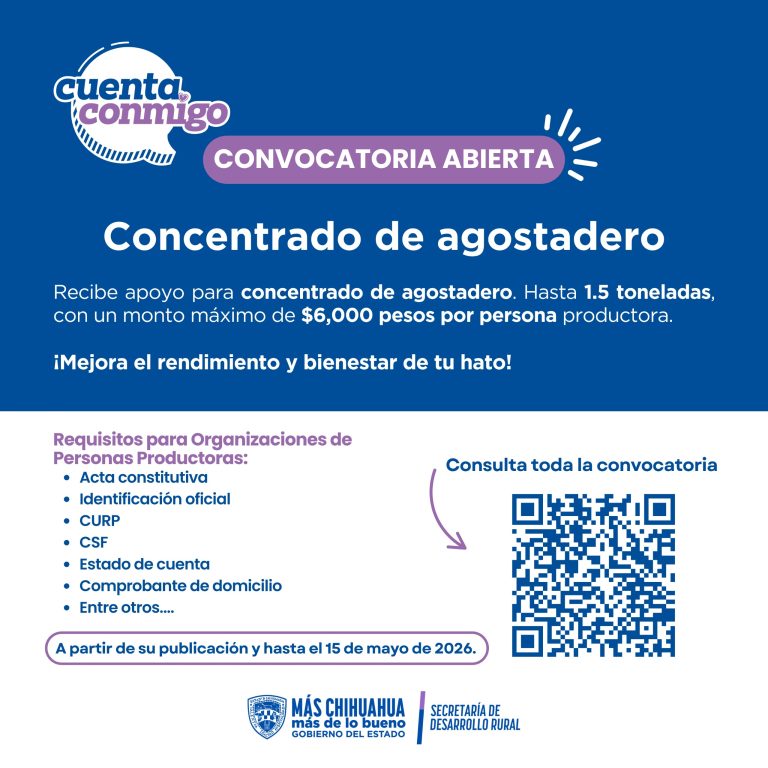 convocatoria