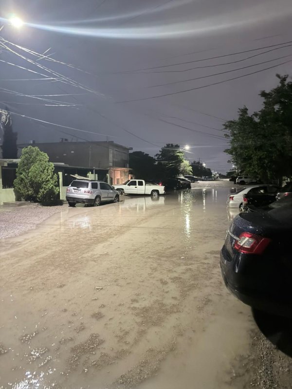 Incidencias por lluvias: Árboles caídos, cortos circuitos y persona arrastrada