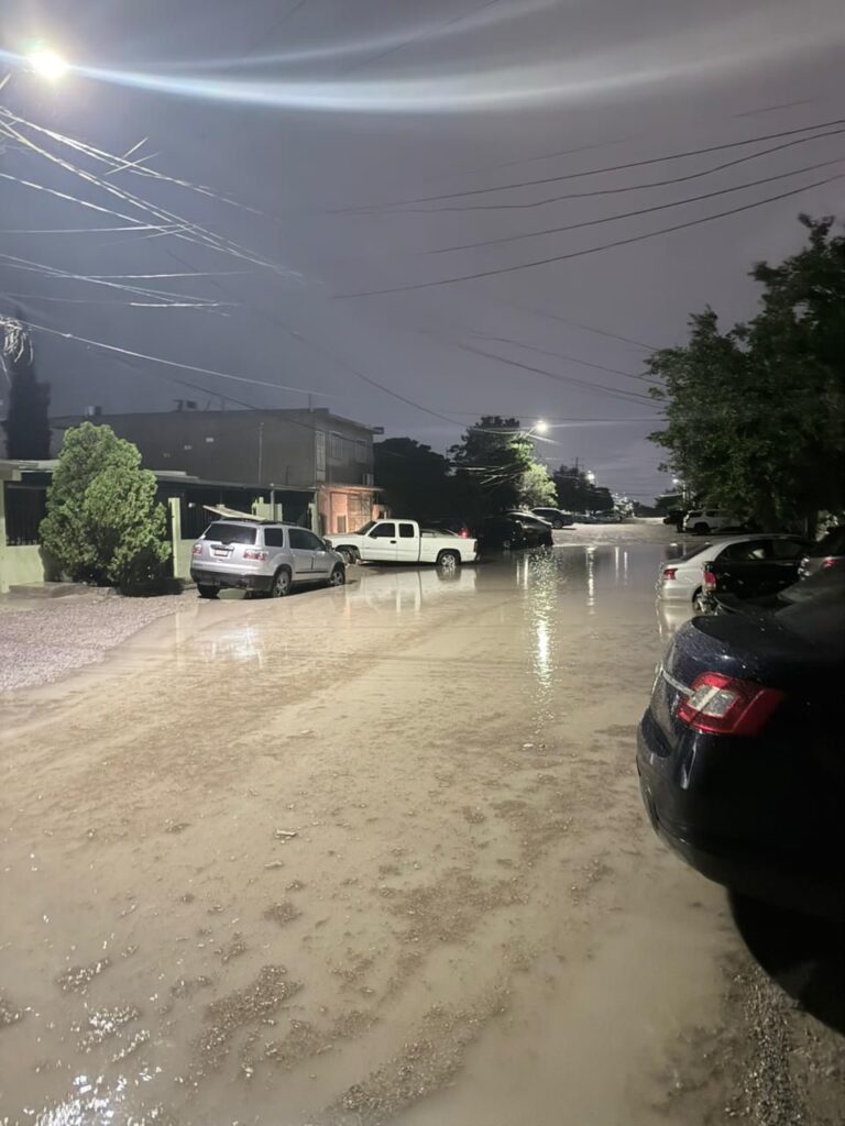 Incidencias por lluvias: Árboles caídos, cortos circuitos y persona arrastrada