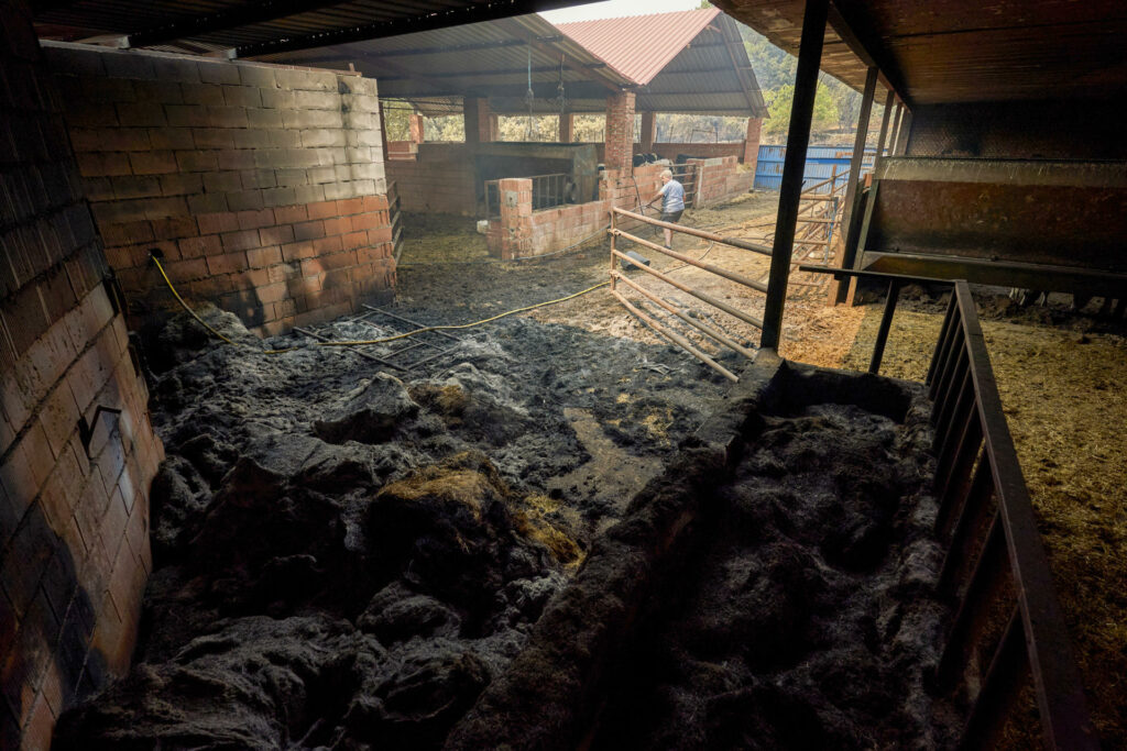 España afronta "horas difíciles" contra el fuego por una nueva ola de calor - 00ece968e98f712e9064954542a0397e73fc01a9w-1024x683