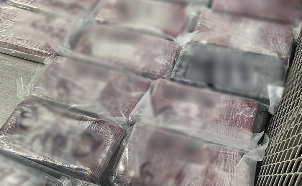 aseguran-165-kilos-de-cocaina-ocultos-en-mochilas-y-detienen-a-11-pasajeros-en-tijuana-1024x631-1 Aseguran 165 kilos de cocaína ocultos en mochilas y detienen a 11 pasajeros en Tijuana - aseguran-165-kilos-de-cocaina-ocultos-en-mochilas-y-detienen-a-11-pasajeros-en-tijuana-1024x631