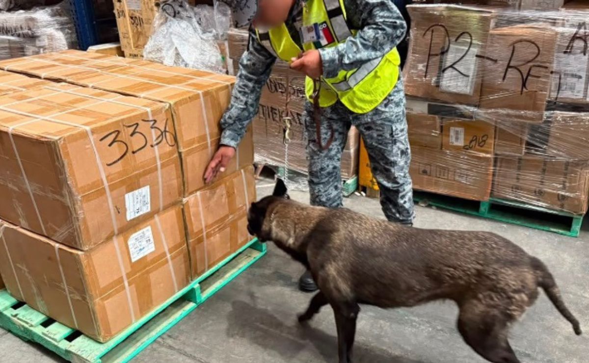 México y EE.UU. decomisan 60 mil cajetillas de cigarros en el AIFA - decomiso-de-cajetillas-de-cigarros-en-el-aifa