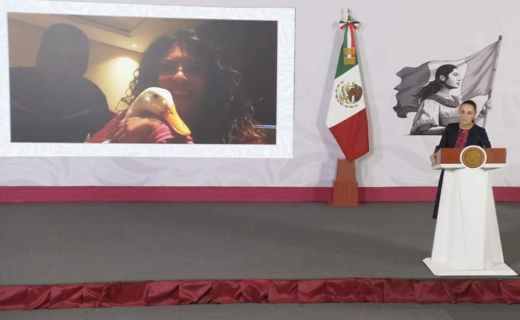 Familia del Pato 'Merlín' recibe vivienda del INVI tras vivir en un local de la CDMX - familia-del-pato-merlin-recibe-vivienda-del-invi-tras-vivir-en-un-local-de-la-cdmx-1-1024x631