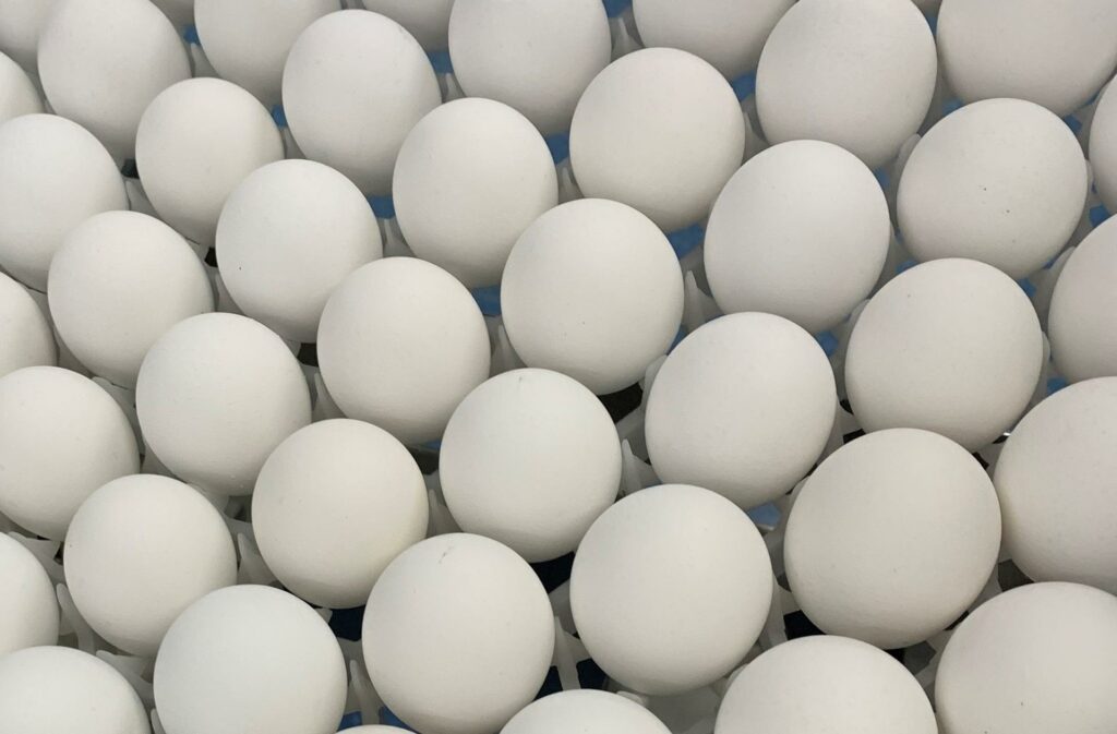 Retiran en EE.UU. 1.5 millones de docenas de huevos por posible salmonela - huevo-huevos-1024x673