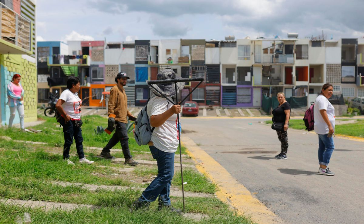 Crimen organizado diversifica sus tácticas para reclutar adolescentes en México - integrantes-del-colectivo-luz-de-esperanza-realizan-una-busqueda-de-personas-y-familiares-desaparecidos-en-tlajomulco-de-zuniga-jalisco