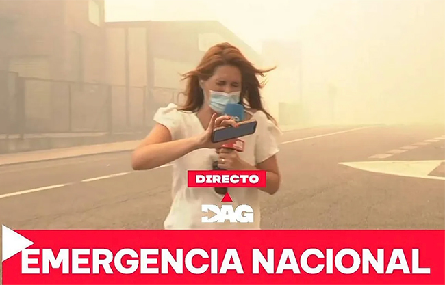 reportera
