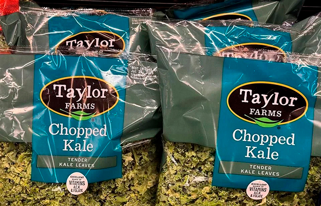 taylor