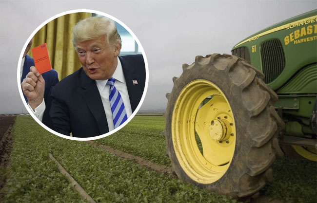 trump-10