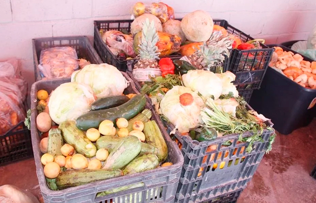 alimentos