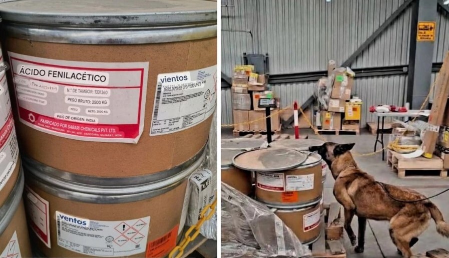 Detectan 244 kilos de