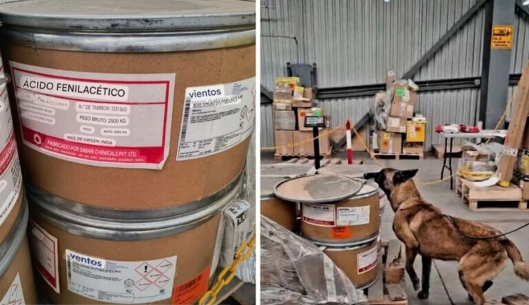 Detectan 244 kilos de