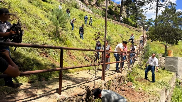 Reforestan la Cascada El Salto en Guachochi