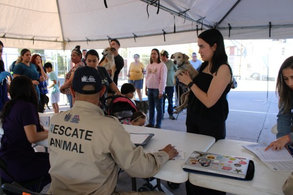 Invitan a jornada gratuita de vacunación para mascotas