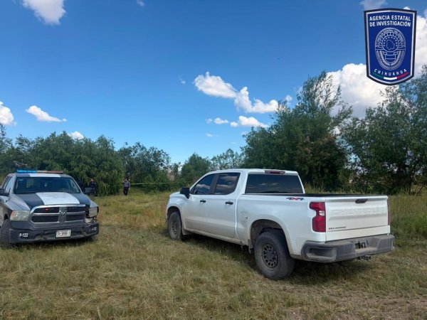 Hallan un cráneo humano en campo menonita   