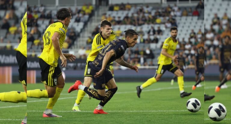 pumas_9a82a8abeb