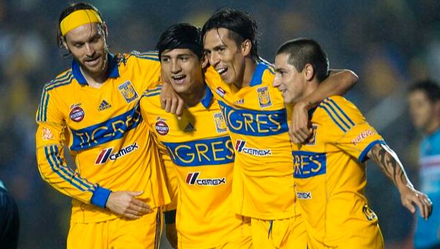 tigres_2013_7008af4418