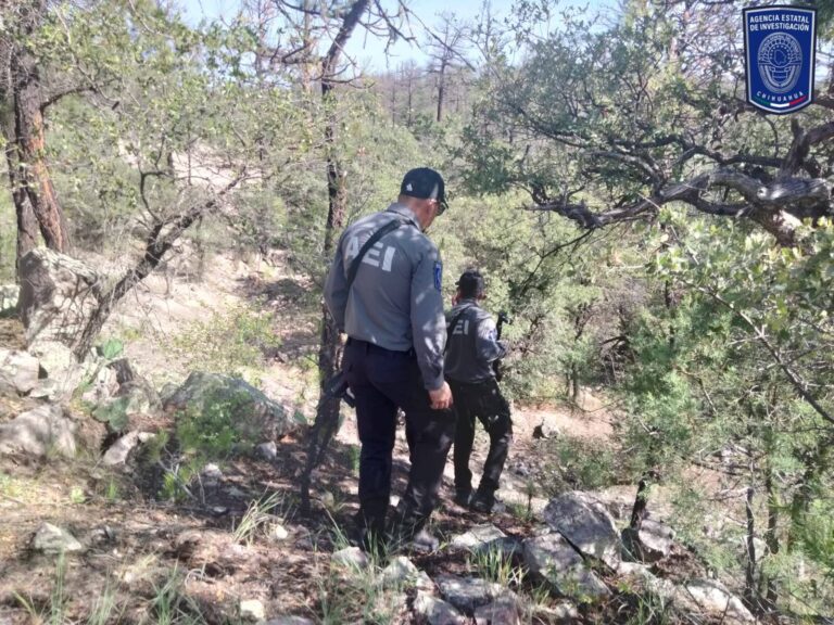 Despliega FGE y AEI operativo en “El Willi” en NCG