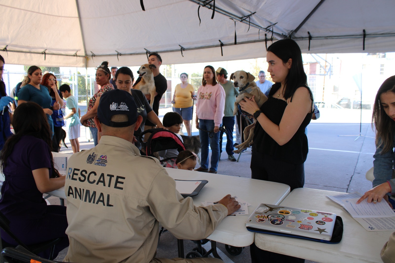 Invitan a jornada gratuita de vacunación para mascotas