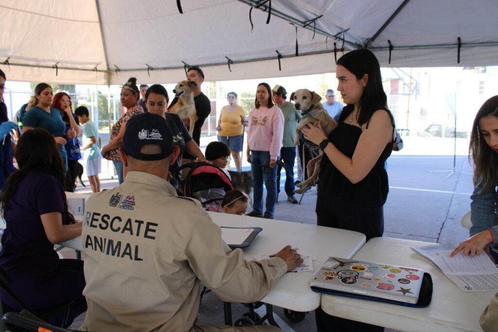 Invitan a jornada gratuita de vacunación para mascotas