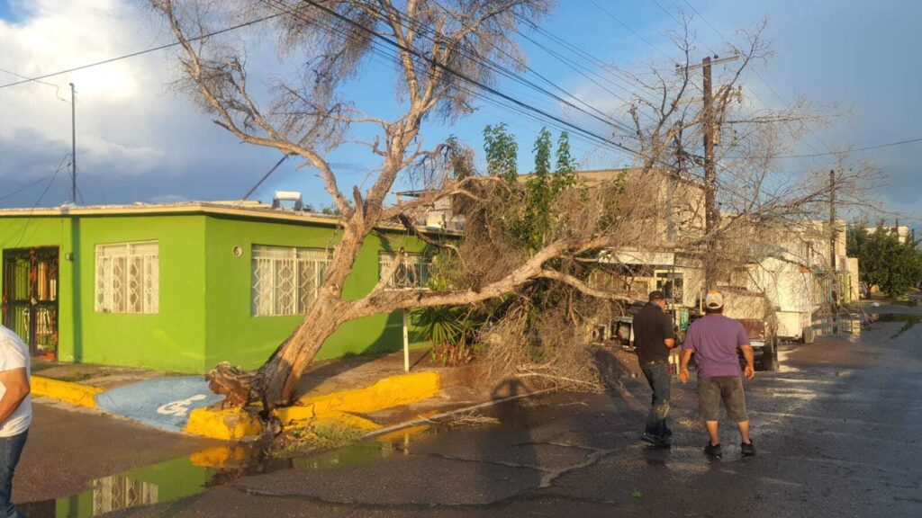 Checa el reporte de daños generados por las lluvias de ayer