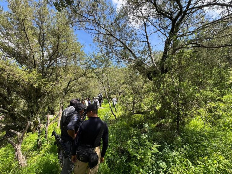 Realizan rastreo en localidades de Moris y Temósachic