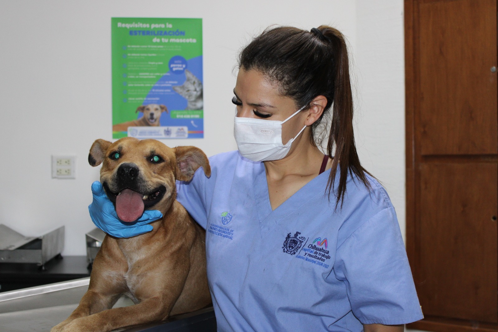 whatsapp-image-20260818-at-122525-pm-135962078-1 Promueve Municipio esterilización responsable de mascotas