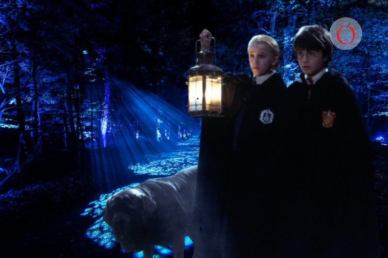 Harry Potter tendrá una nueva experiencia inmersiva en México este 2026.